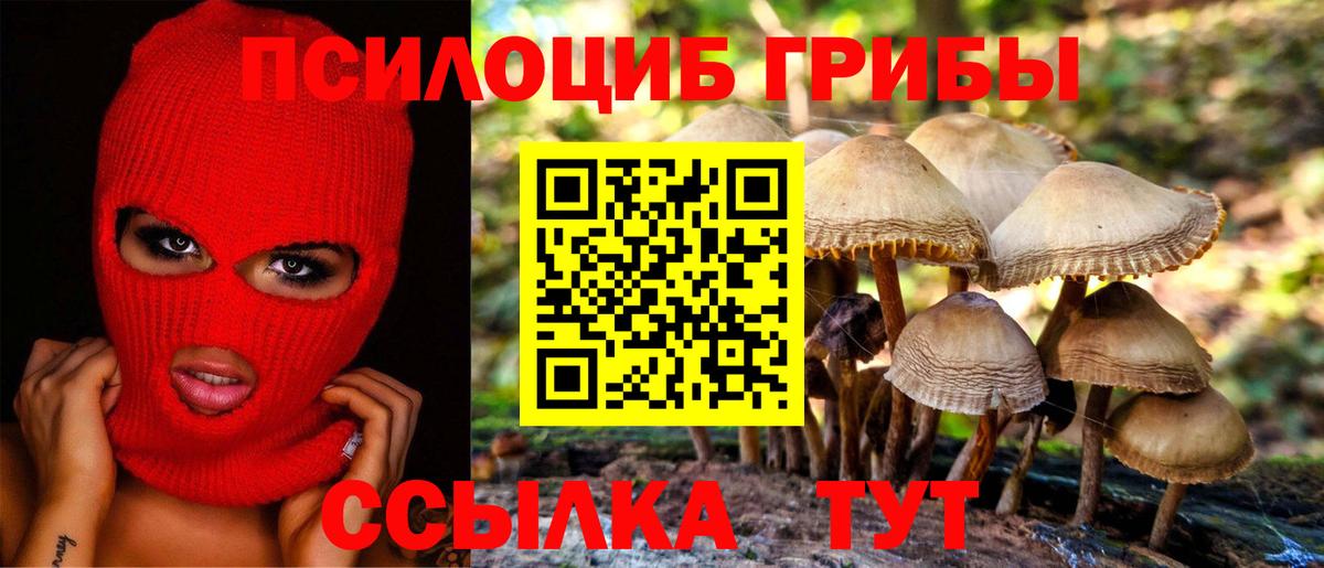 Псилоцибиновые грибы ЛСД  Вход с VPN  Десногорск 